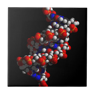 DNA Double Helix Model Tile