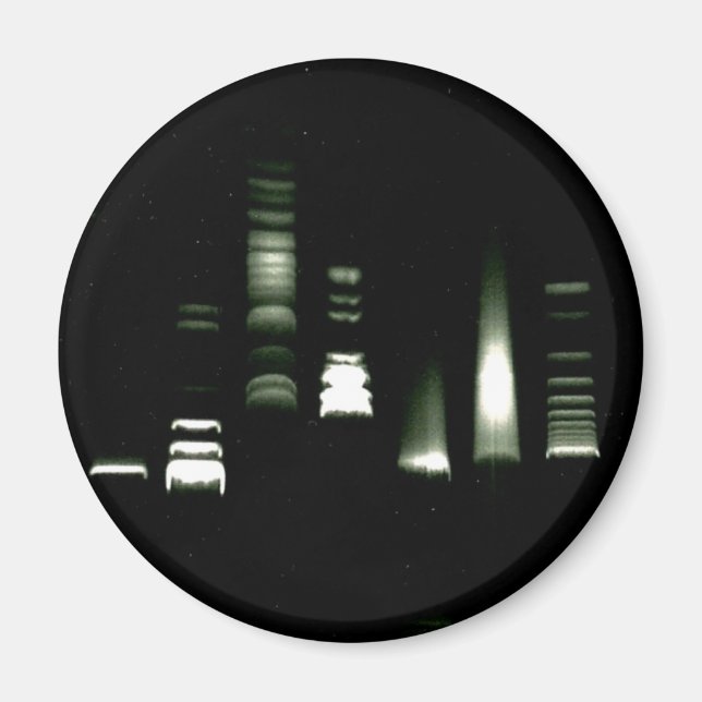 DNA Gel Electrophoresis Magnet (Front)