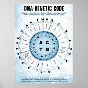 DNA Genetic Code Chart