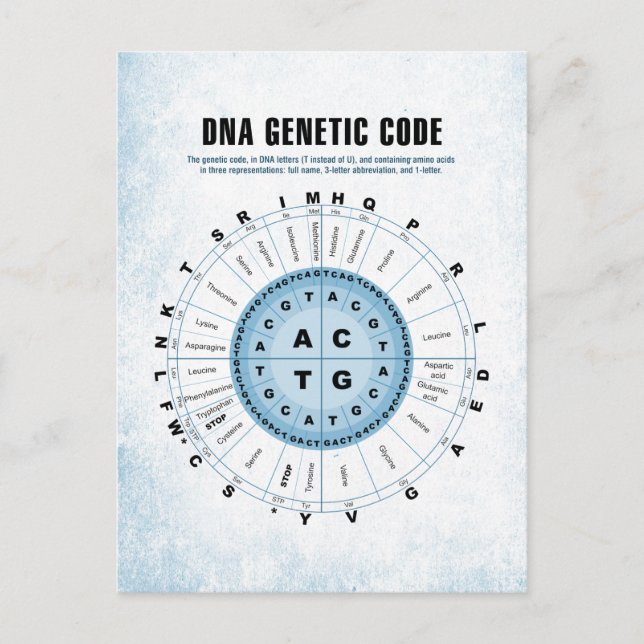 DNA Genetic Code Chart Postcard (Front)