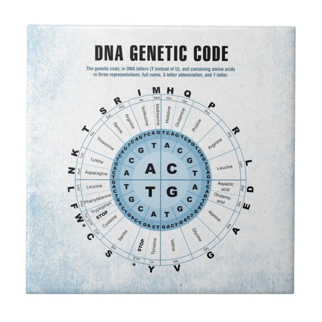 DNA Genetic Code Chart Tile (Front)