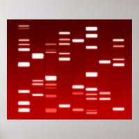 DNA Genetic Code Red