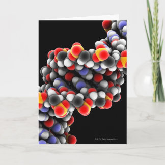 DNA molecule. Molecular model of DNA Card