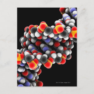 DNA molecule. Molecular model of DNA Postcard