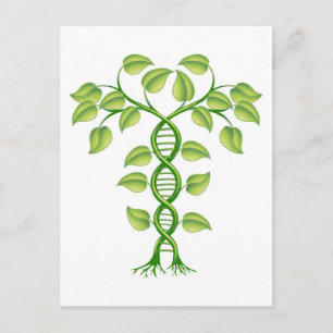 DNA plant concept Postcard