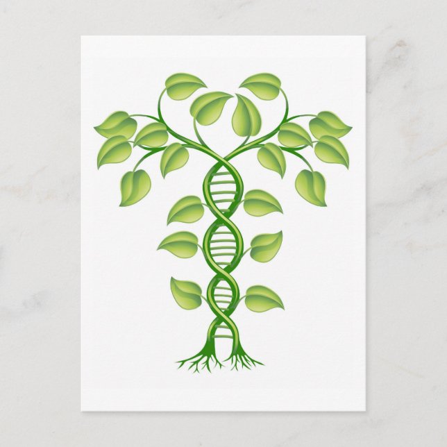 DNA plant concept Postcard (Front)