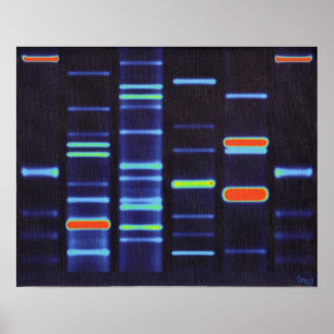 DNA Poster