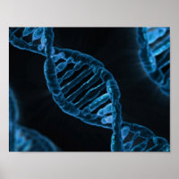 DNA
