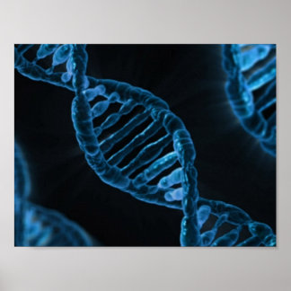 DNA POSTER