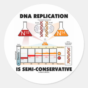 DNA Replication Is Semi-Conservative Classic Round Sticker