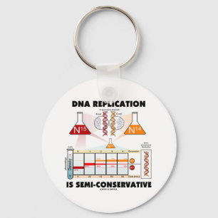 DNA Replication Is Semi-Conservative Key Ring