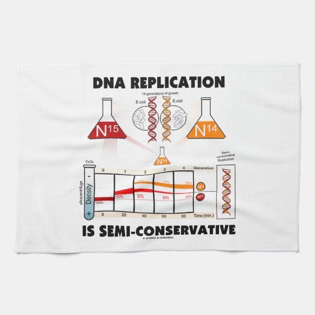 DNA Replication Is Semi-Conservative Tea Towel (Horizontal)