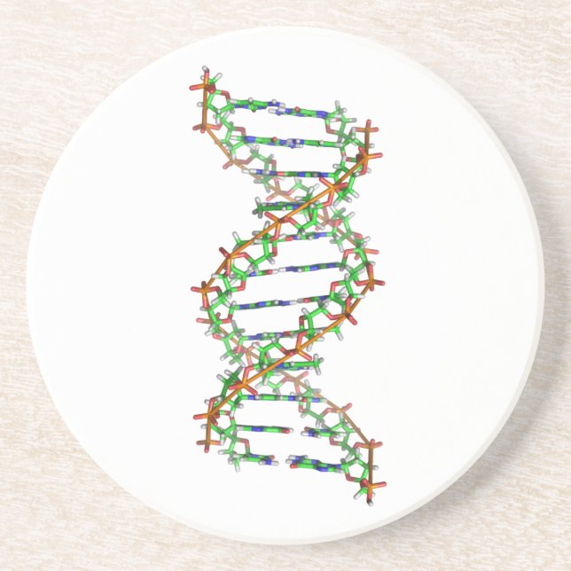 DNA - science/scientist/biology Coaster (Front)