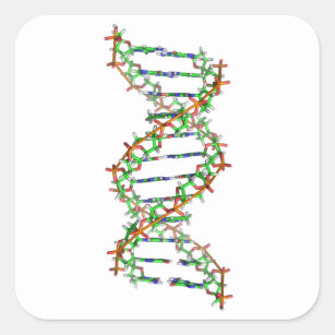 DNA - science/scientist/biology Square Sticker