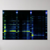 DNA Sequence gel 1