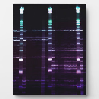 DNA Sequencing Gel 2 Plaque