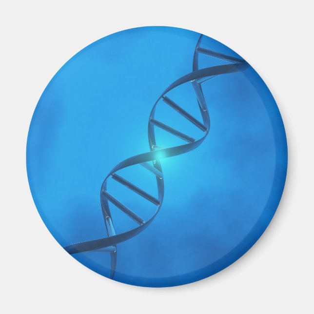 DNA Strand Magnet (Front)