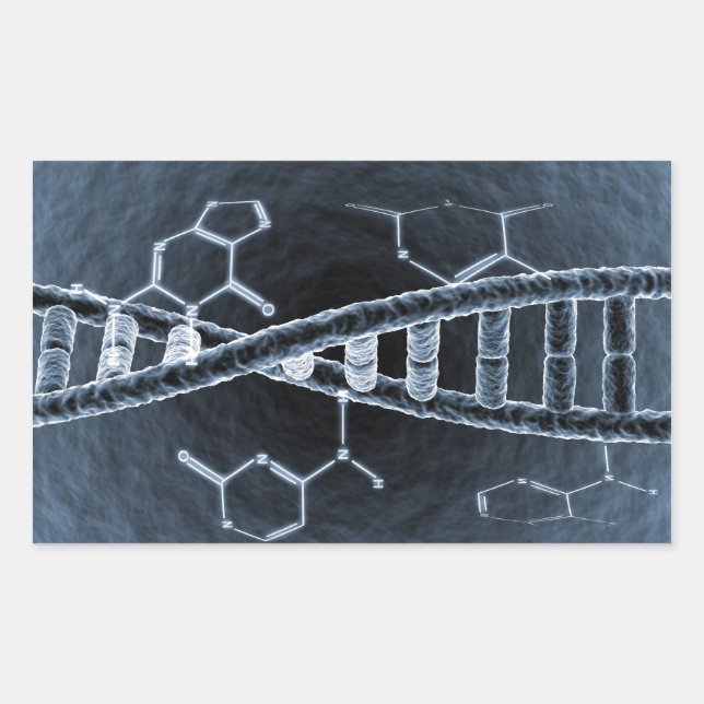 DNA strand Rectangular Sticker (Front)