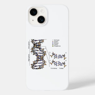 DNA Structure Deoxyribonucleic Acid Bases Diagram  Case-Mate iPhone 14 Case