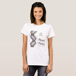 DNA Structure Deoxyribonucleic Acid Bases Diagram  T-Shirt