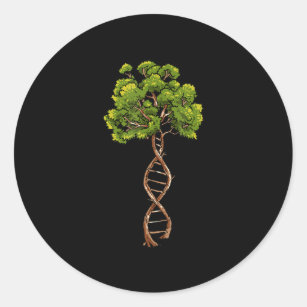 Dna Tree Of Life Science Genetics Biology Environm Classic Round Sticker