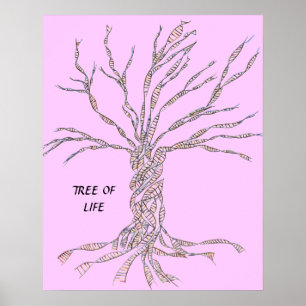 DNA TREE or Tree of Life POSTER PINK