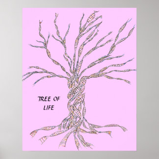 DNA TREE or Tree of Life POSTER PINK