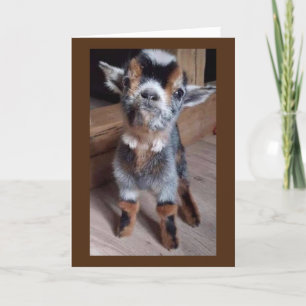 DO BABY GOAT A FAVOR "HAVE A HAPPY 30th BIRTHDAY" Card