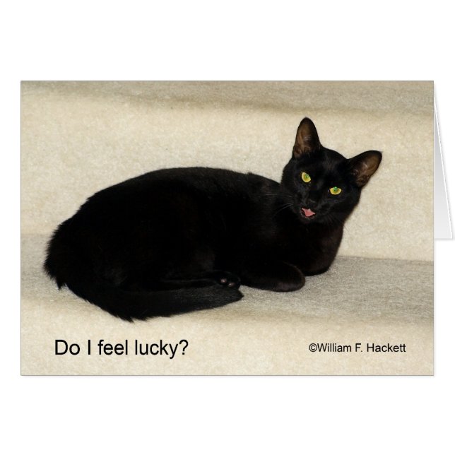 Do I feel lucky? Black CAt California Products (Front Horizontal)