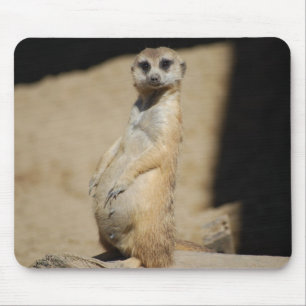 Do I look fat? Mouse Pad