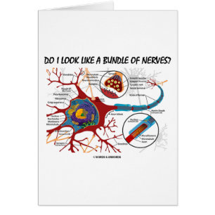 Do I Look Like A Bundle Of Nerves? Neuron Synapse
