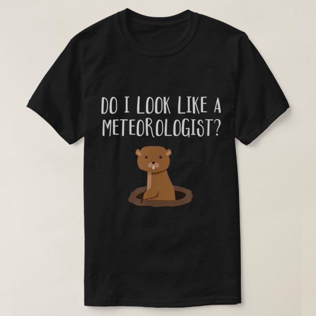 Do I Look Like A Meteorologist Groundhog Day Funny T-Shirt (Design Front)