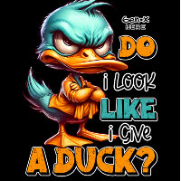 Do I Look Like I Give A Duck Sarcastic