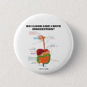 Do I Look Like I Have Indigestion? (Medical) 6 Cm Round Badge