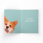 Do I Smell Cake Cute Corgi Birthday 