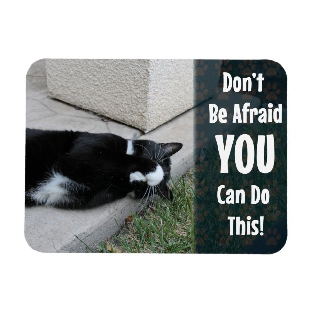Do Not Be Afraid Cat Motivational Saying Magnet (Horizontal)