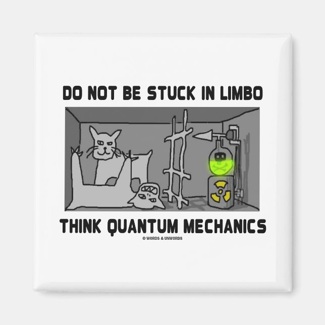 Do Not Be Stuck In Limbo Think Quantum Mechanics Magnet (Front)