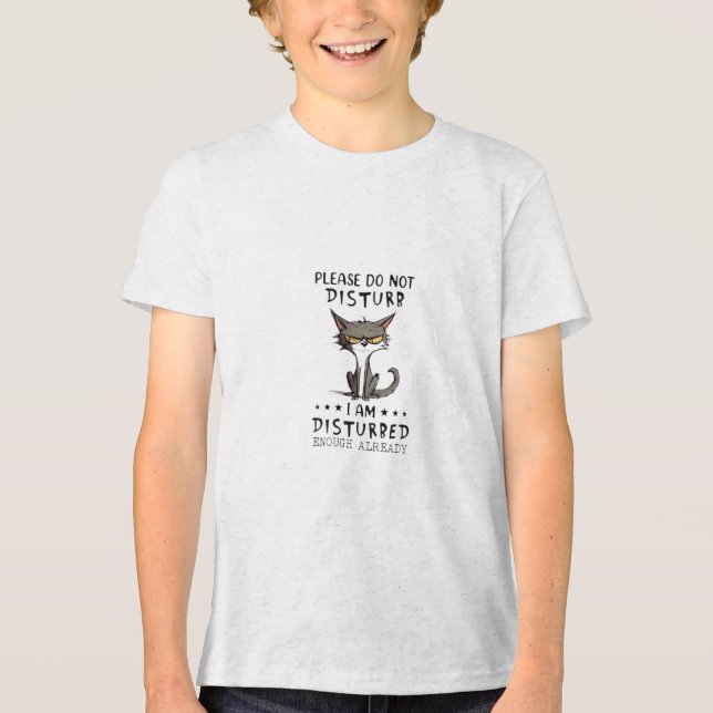 Do Not Disturb Already Disturbed Grumpy Mode Nope. Tri-Blend Shirt (Front)