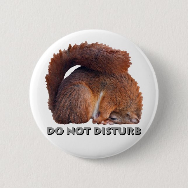 Do Not Disturb Badge (Front)
