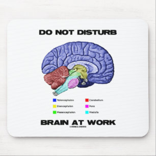 Do Not Disturb Brain At Work (Anatomical Humour) Mouse Pad