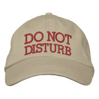 Do Not Disturb by SRF
