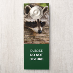Do Not Disturb Cute Racoon Resting on a Log Door Hanger