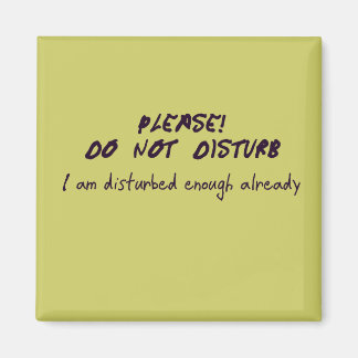 Do Not Disturb Magnet