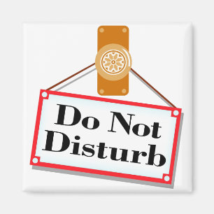 Do Not Disturb - Magnet