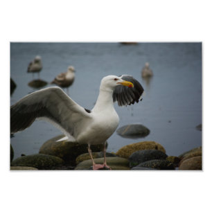 Do Not Disturb Photo Print