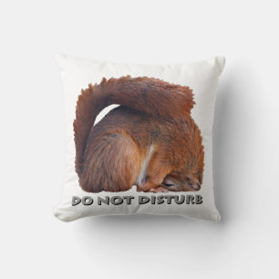Do Not Disturb Pillow (White)