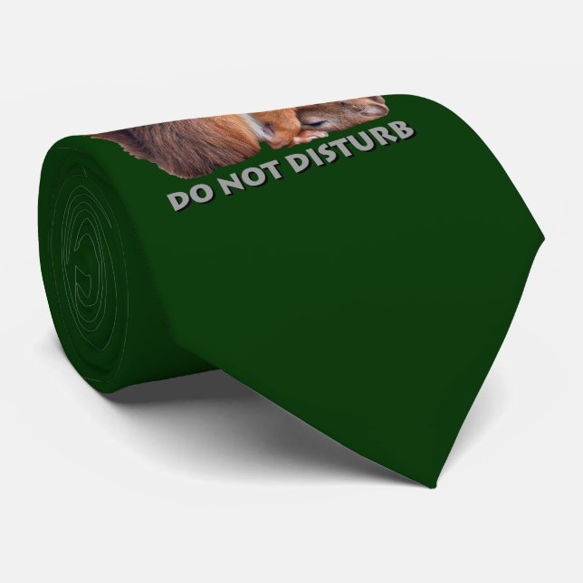 Do Not Disturb Tie (Dark Green) (Rolled)