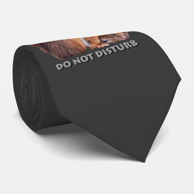 Do Not Disturb Tie (Dark Grey) (Rolled)