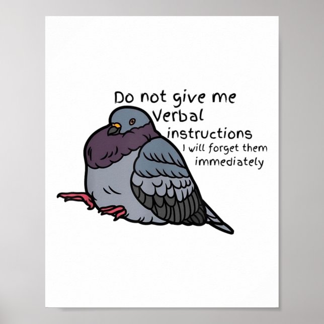 Do Not Give Me Verbal Instrutions I Will Forget Th Poster (Front)