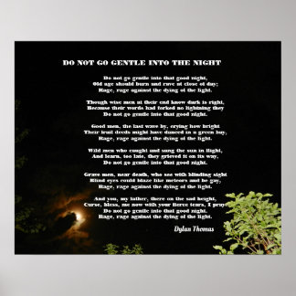 DO NOT GO GENTLE INTO THE NIGHT POSTER